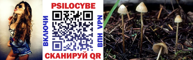 omg вход  Харовск  Галлюциногенные грибы прущие грибы  магазин   